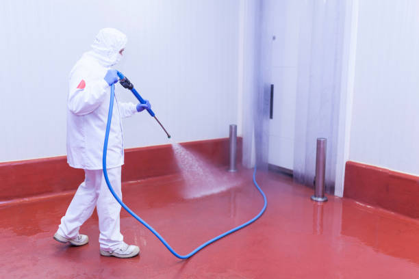 Best Building Exterior Pressure Washing in Burlington, OH