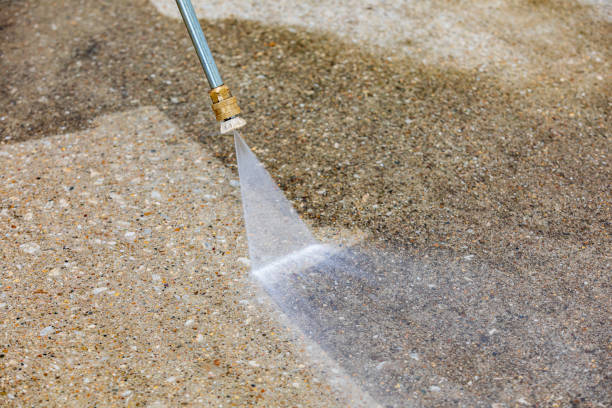 Best Roof Cleaning and Mildew Removal in Burlington, OH